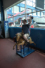 Ride the pony Frank!