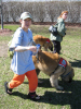 4/9 - Helping Alex with some leonburger dog training.