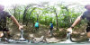 7/1 - Lets go for some mountain biking!