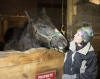 12/26 - The baby horse is getting big.