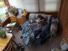 4/28 - Snuggling with the penguins