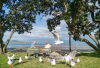 11/28 - When you eat Fish & Chips on the beach, the birds get a little crazy.
