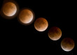 2008 Lunar Eclipse