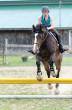 Horse Jumping