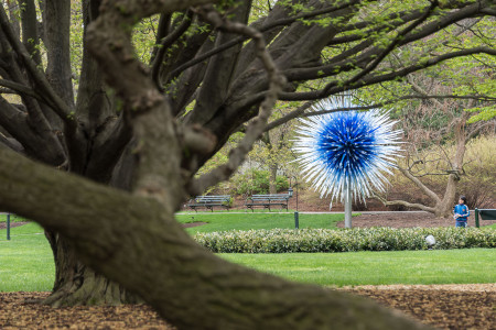 NYBG Chihuly 2017